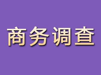 宿豫商务调查